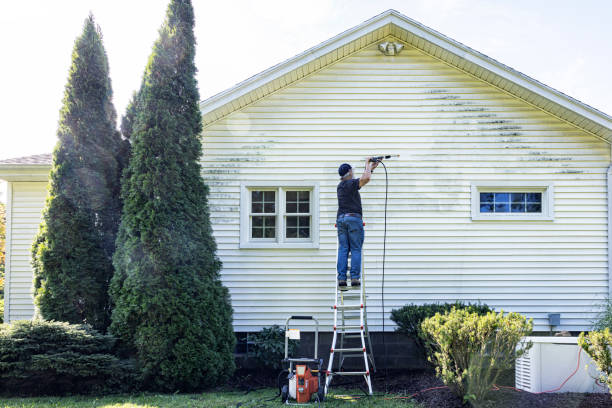 Best Fence Cleaning  in Goulding, FL